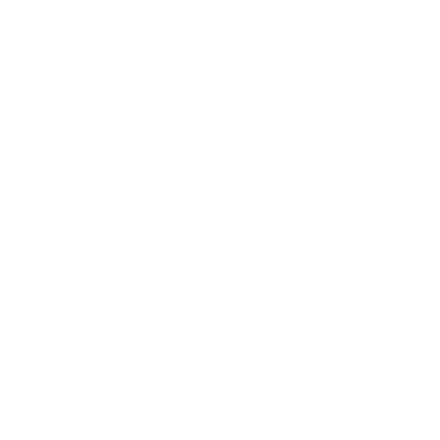 Phoenix Foundation