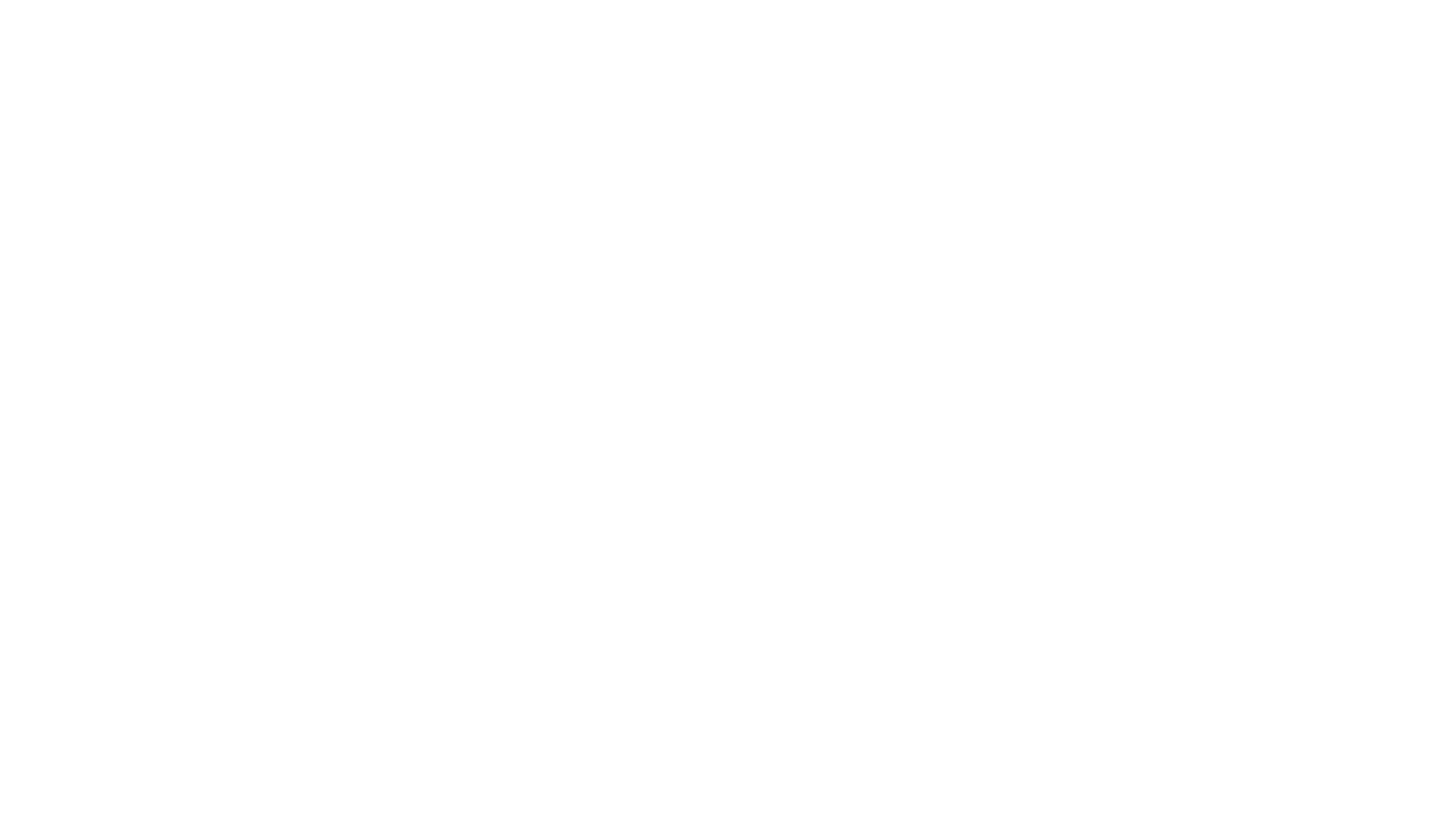 Phoenix Foundation